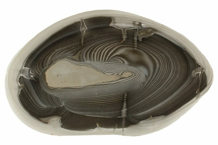 Polished, Striped Flint Slab - Poland #193149